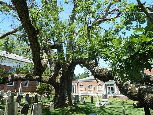 Home Inspection basking ridge NJ